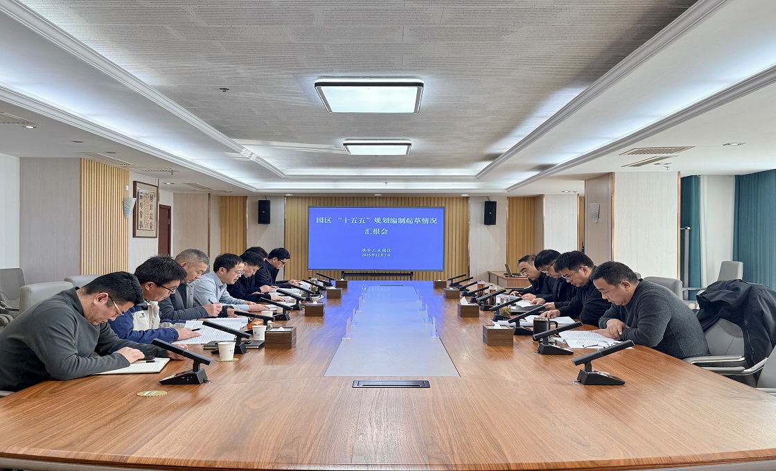 园区召开“十五五”规划编制起草情况汇报会