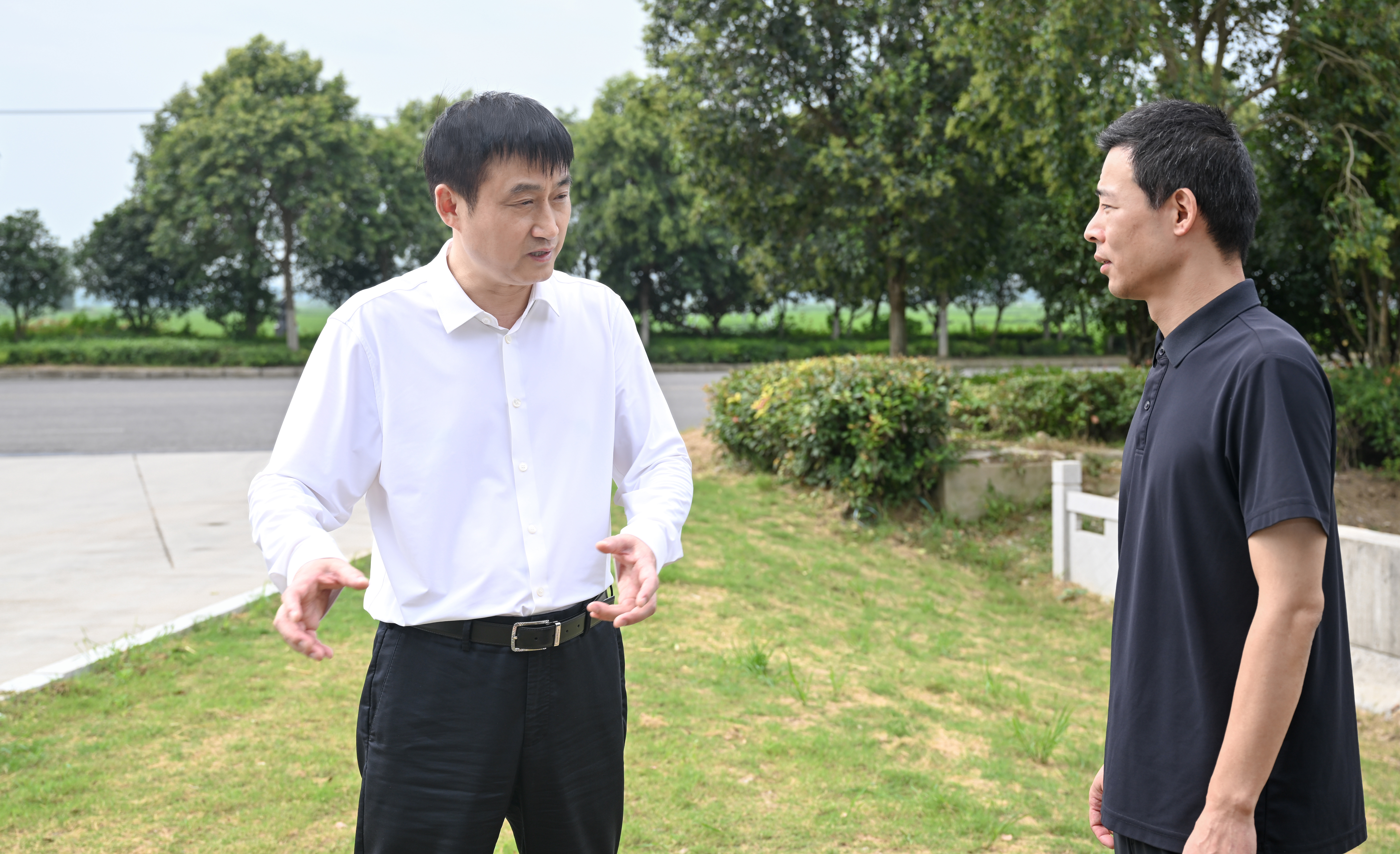 崔步银调研推进群众身边不正之风和腐败问题集中整治...